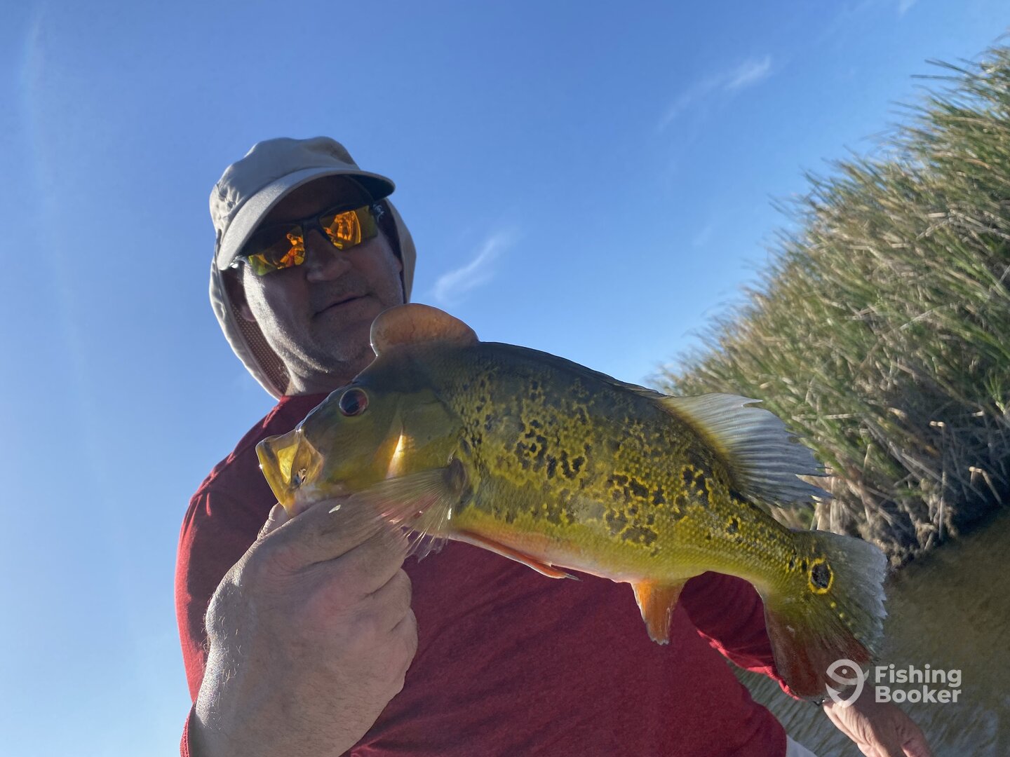 Weston Report Photo 0