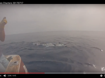 Guilherme on the Leader...