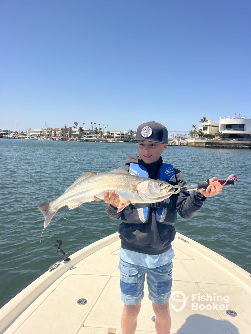 San Diego Report Photo 0