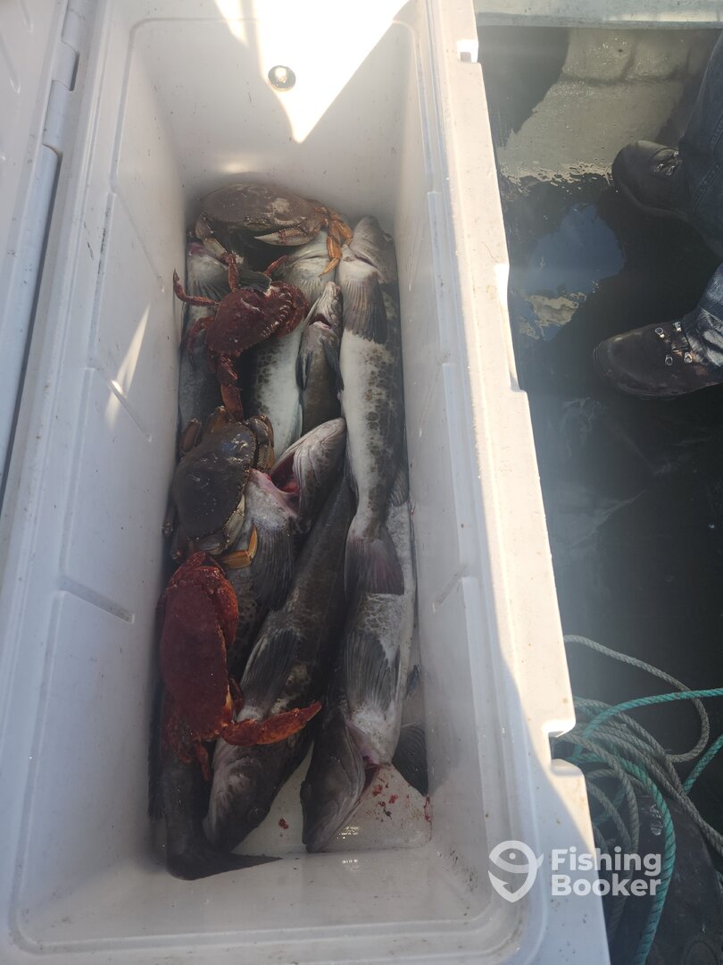 Ucluelet Report Photo 0