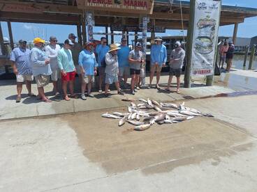 Venice Report Photo 2