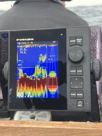 Cape Town Report Photo 1