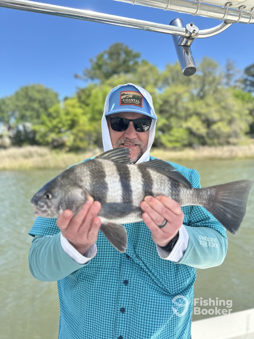 Mount Pleasant Report Photo 0