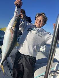 The adventures of Bear and Fin 