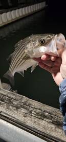 Fishing is starting to heat up!