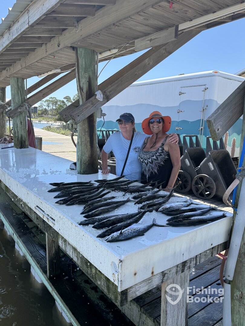 Gulf Shores Report Photo 0