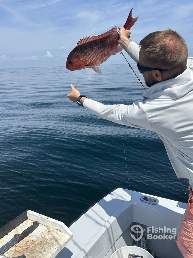 Pensacola Report Photo 0