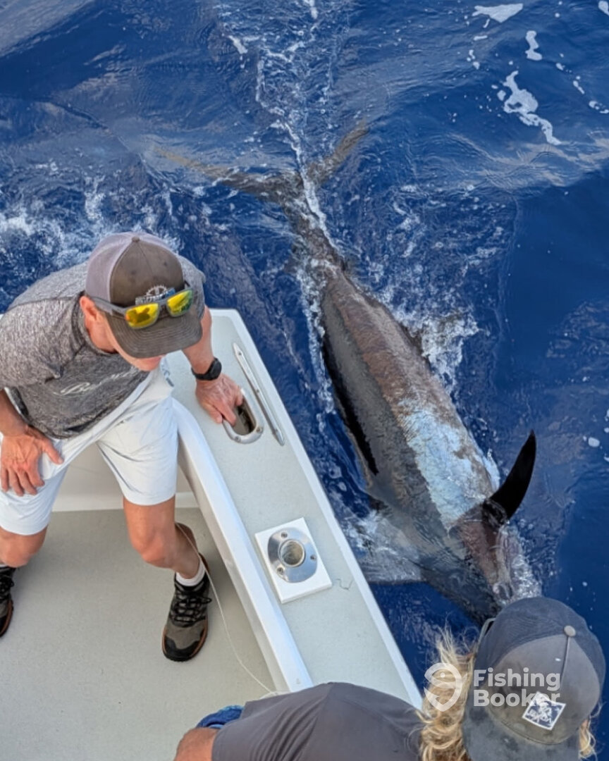 Kailua-Kona Report Photo 0