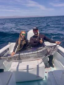 San Jose del Cabo Report Photo 1