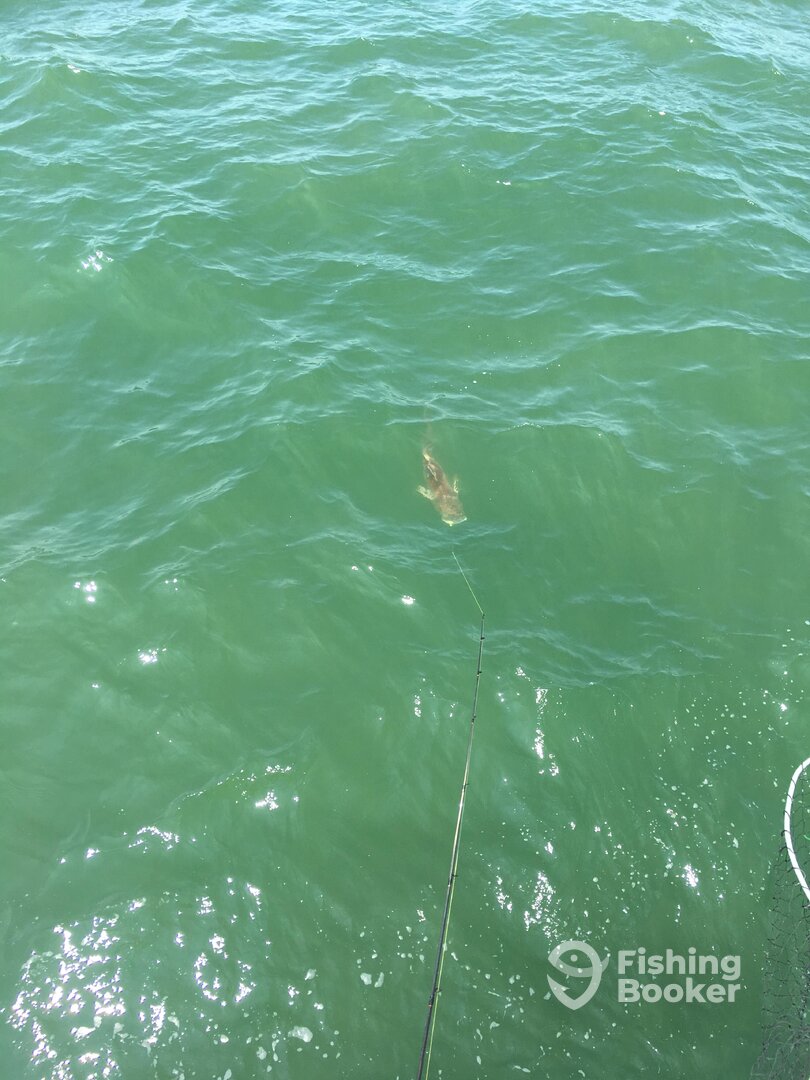 Virginia Beach Report Photo 0