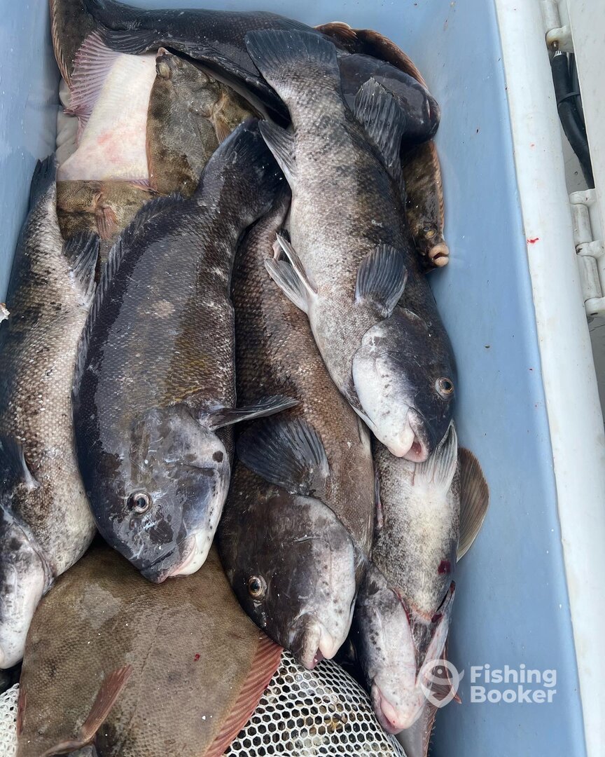 Dennis Report Photo 0