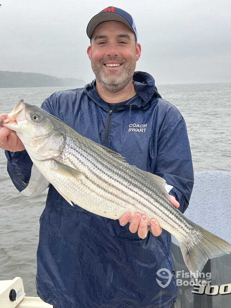 Saugerties Report Photo 0