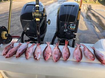 St. Simons Island Report Photo 2