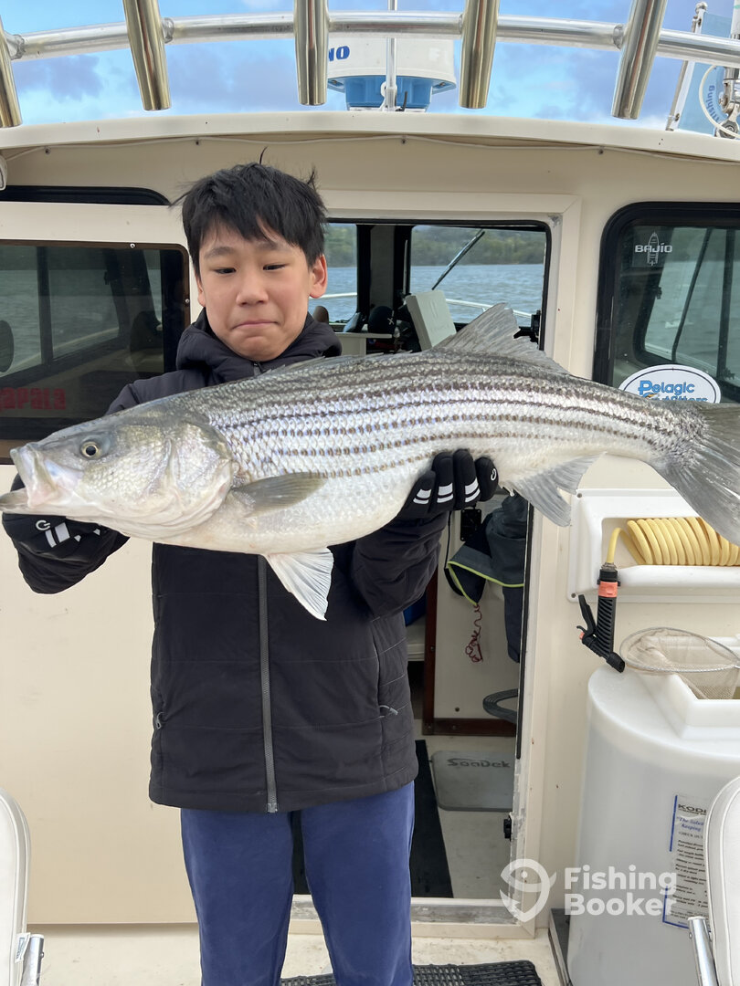 Saugerties Report Photo 0