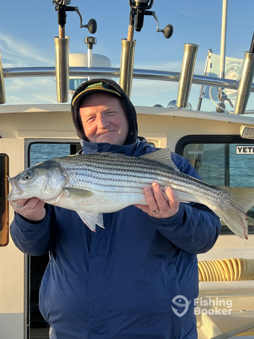 Saugerties Report Photo 0