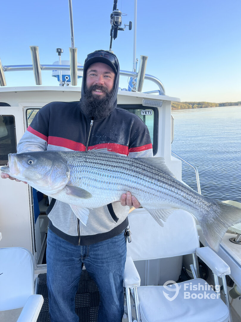 Saugerties Report Photo 0