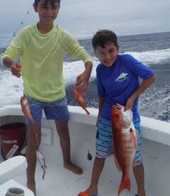 Quepos Report Photo 2