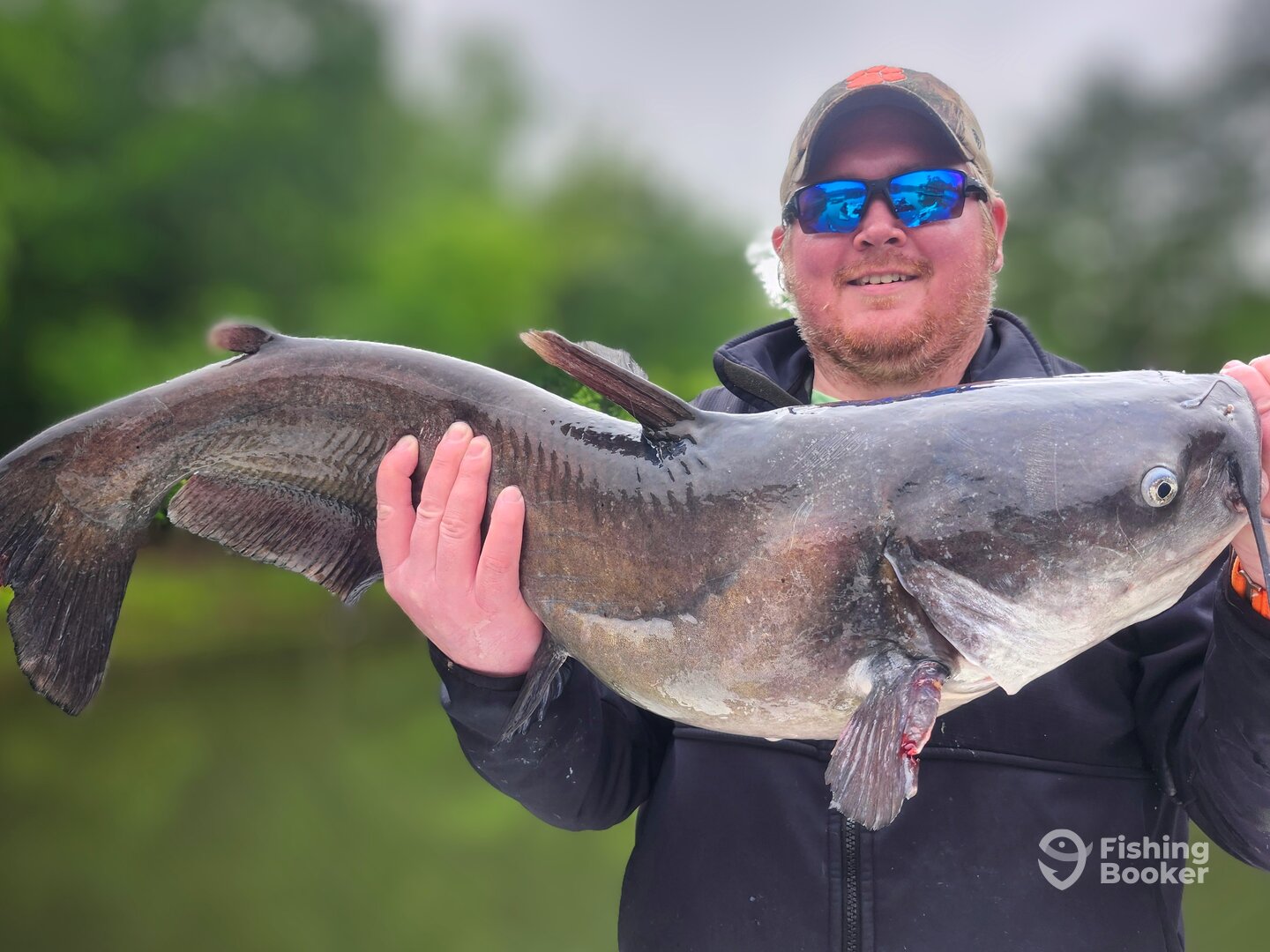 Clover Report Photo 0