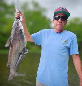 Clover Report Photo 2