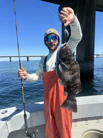 Virginia Beach Report Photo 1