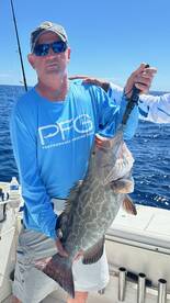 Grouper Season is about to open