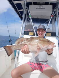 Red Grouper 