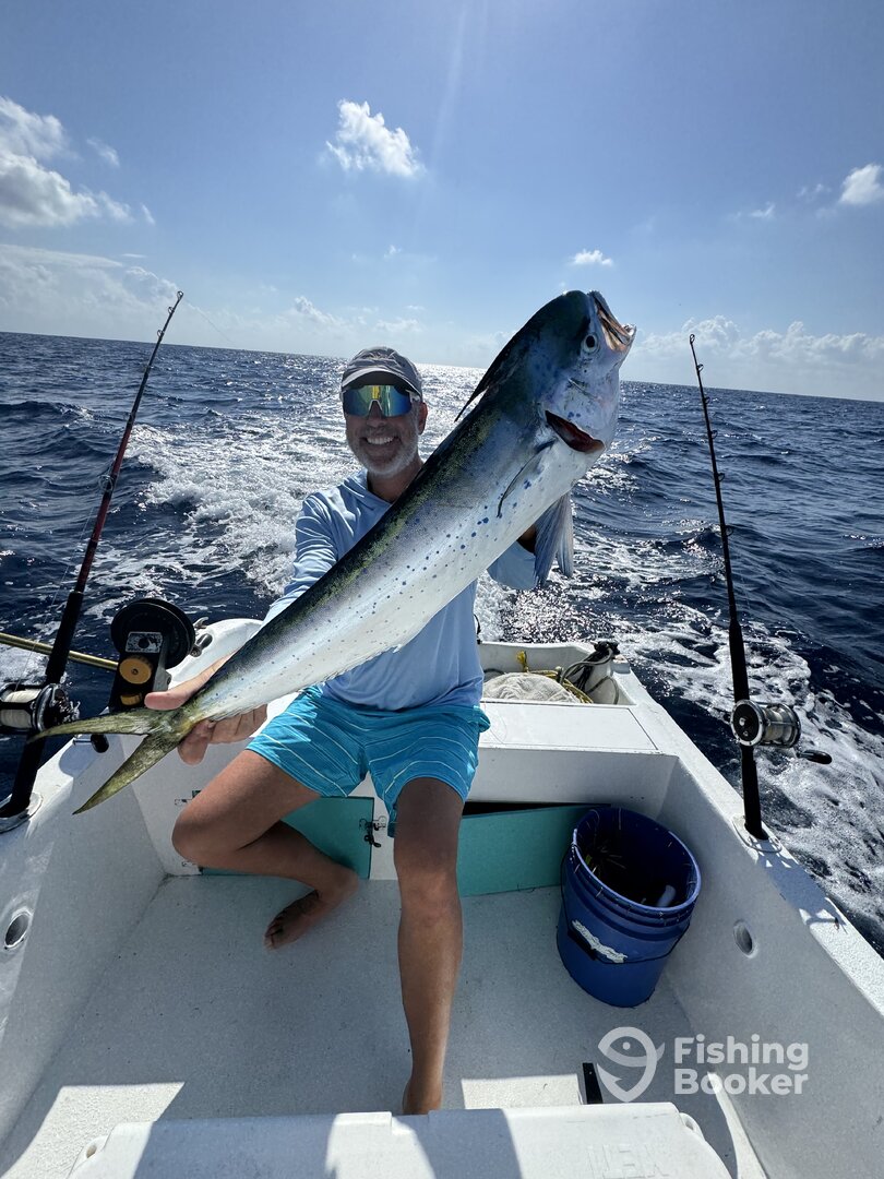 Playa Del Carmen Report Photo 0