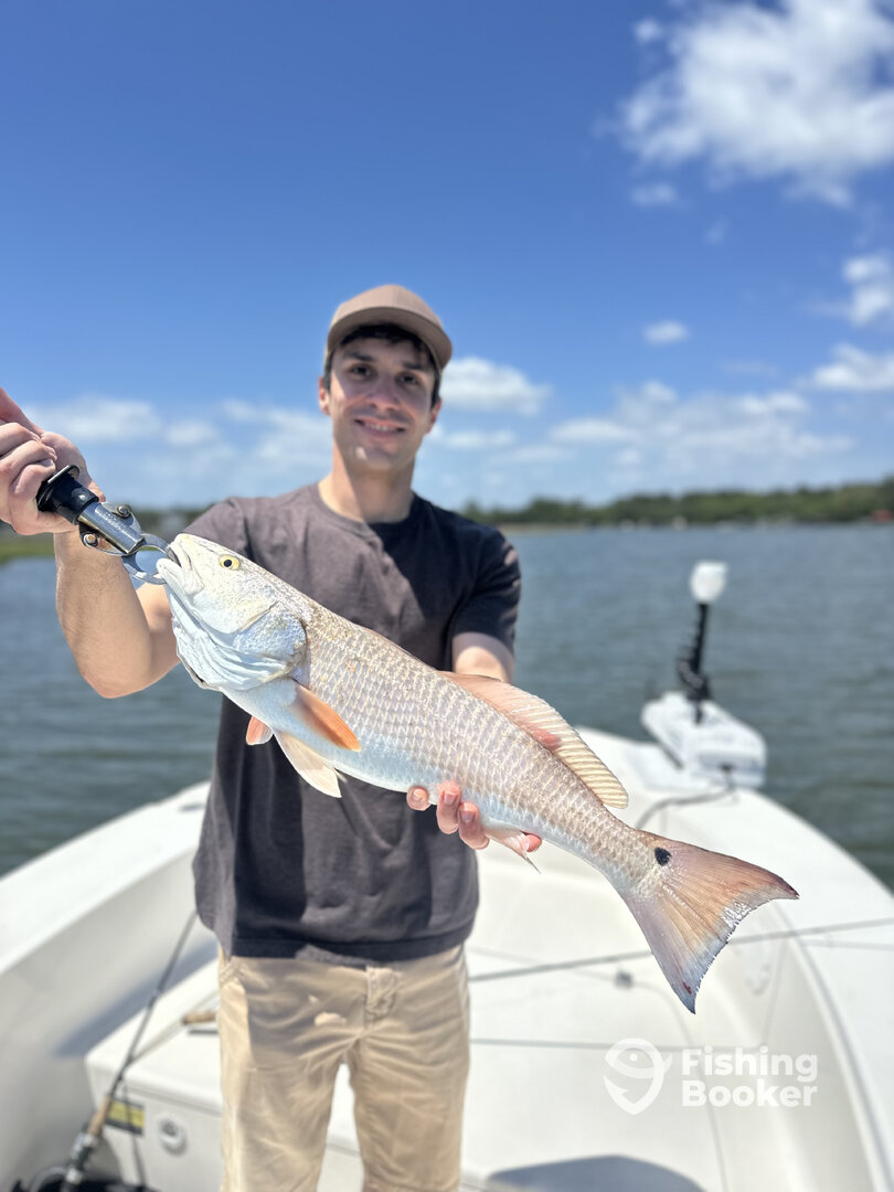 Savannah Report Photo 0