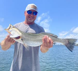 Big trout showing up!