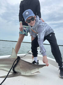 Naples Report Photo 1