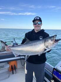 King !!kings!!and more kings 