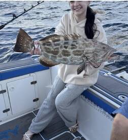 Grouper season is here! 