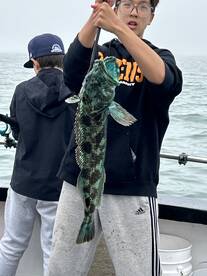 San Francisco Report Photo 1