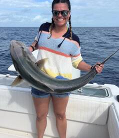 Fun fighting Jacks and snappers