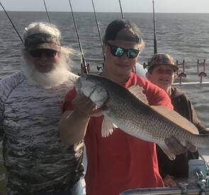 More great Drum fishing 