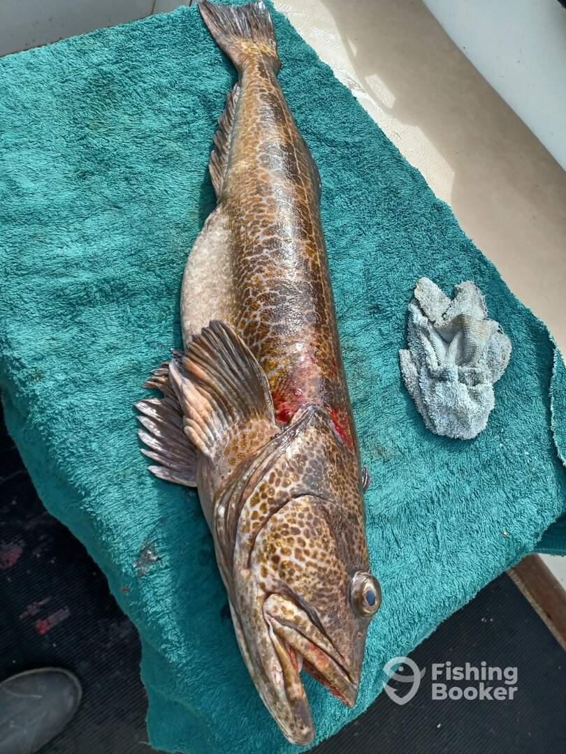 Nanaimo Report Photo 0