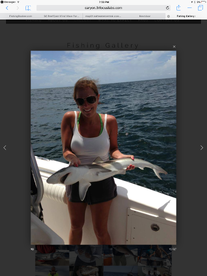 Murrells Inlet Report Photo 1