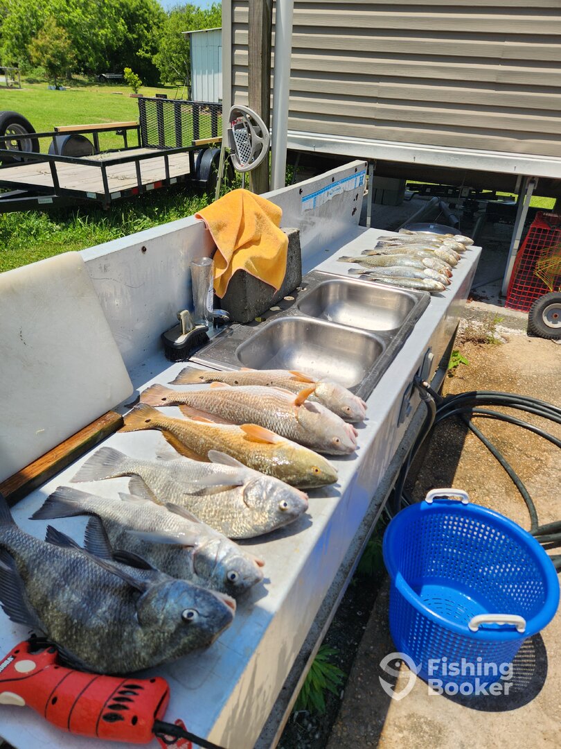 Empire Report Photo 0