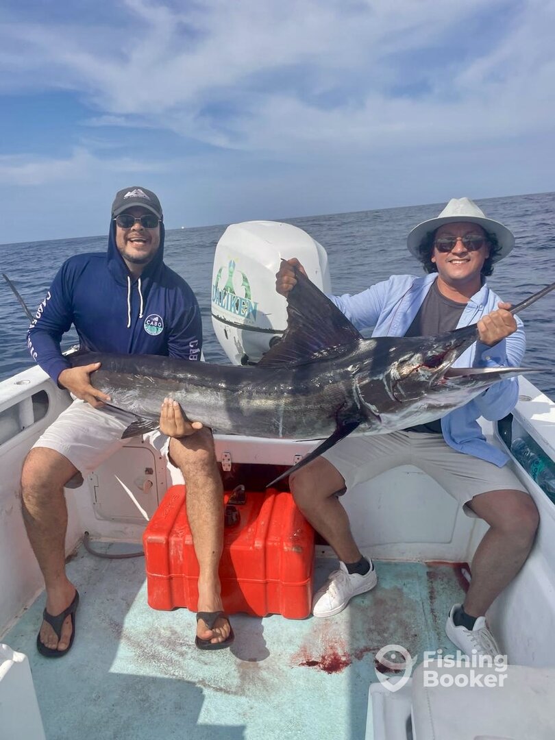 San Jose del Cabo Report Photo 0