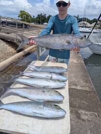 Haleiwa Report Photo 1