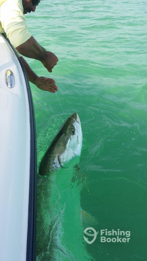 St. Petersburg Report Photo 0