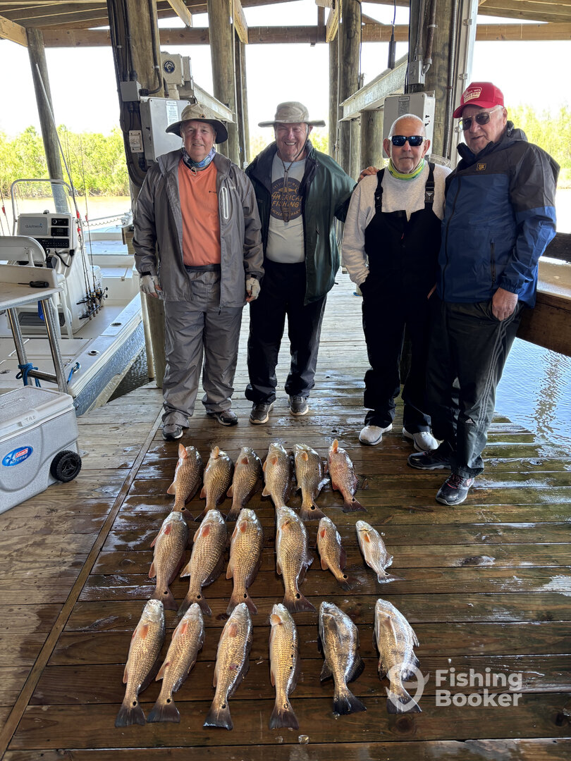 Venice Report Photo 0