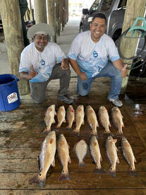 Couldn’t Be Happier