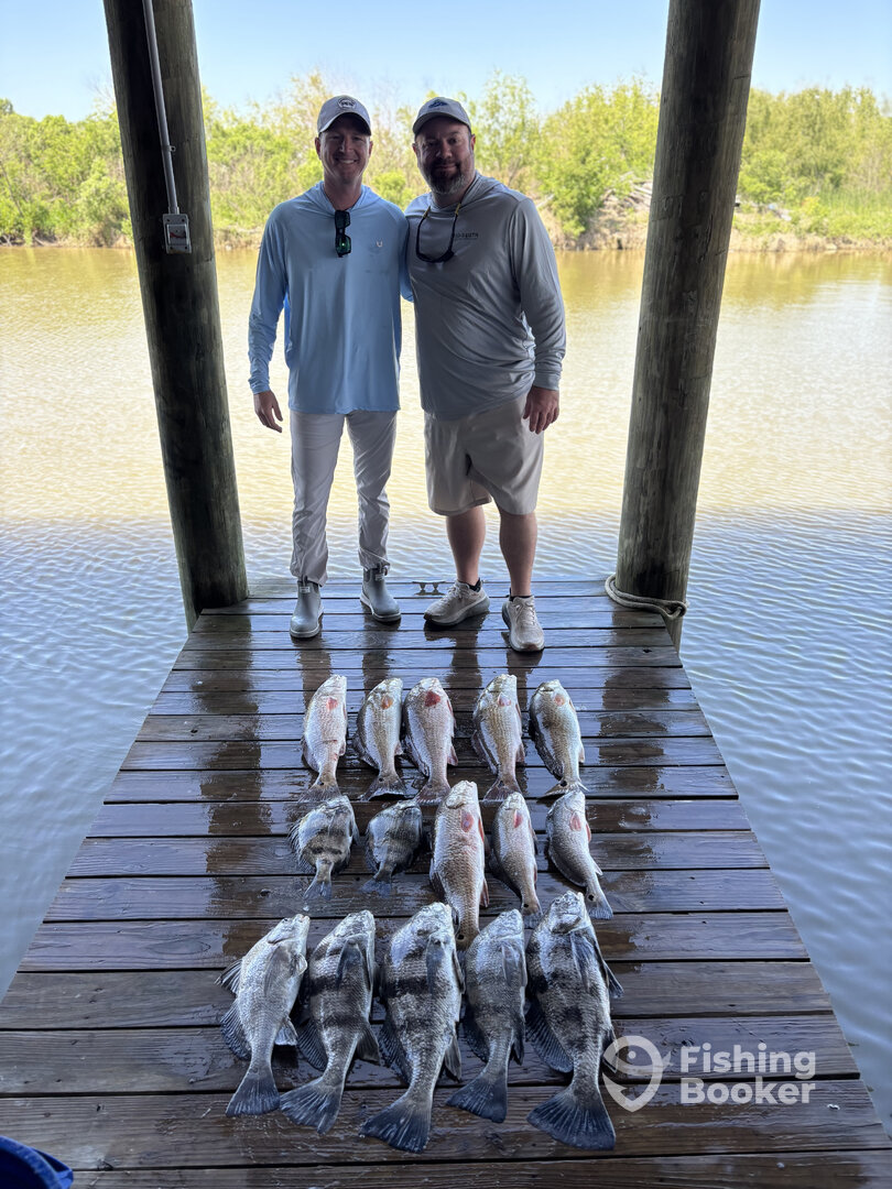 Venice Report Photo 0