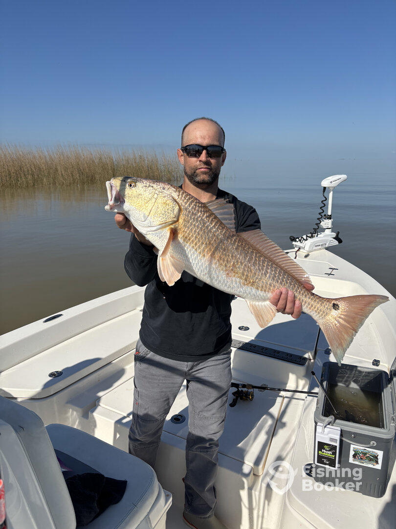 Venice Report Photo 0