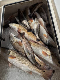 Venice Report Photo 2