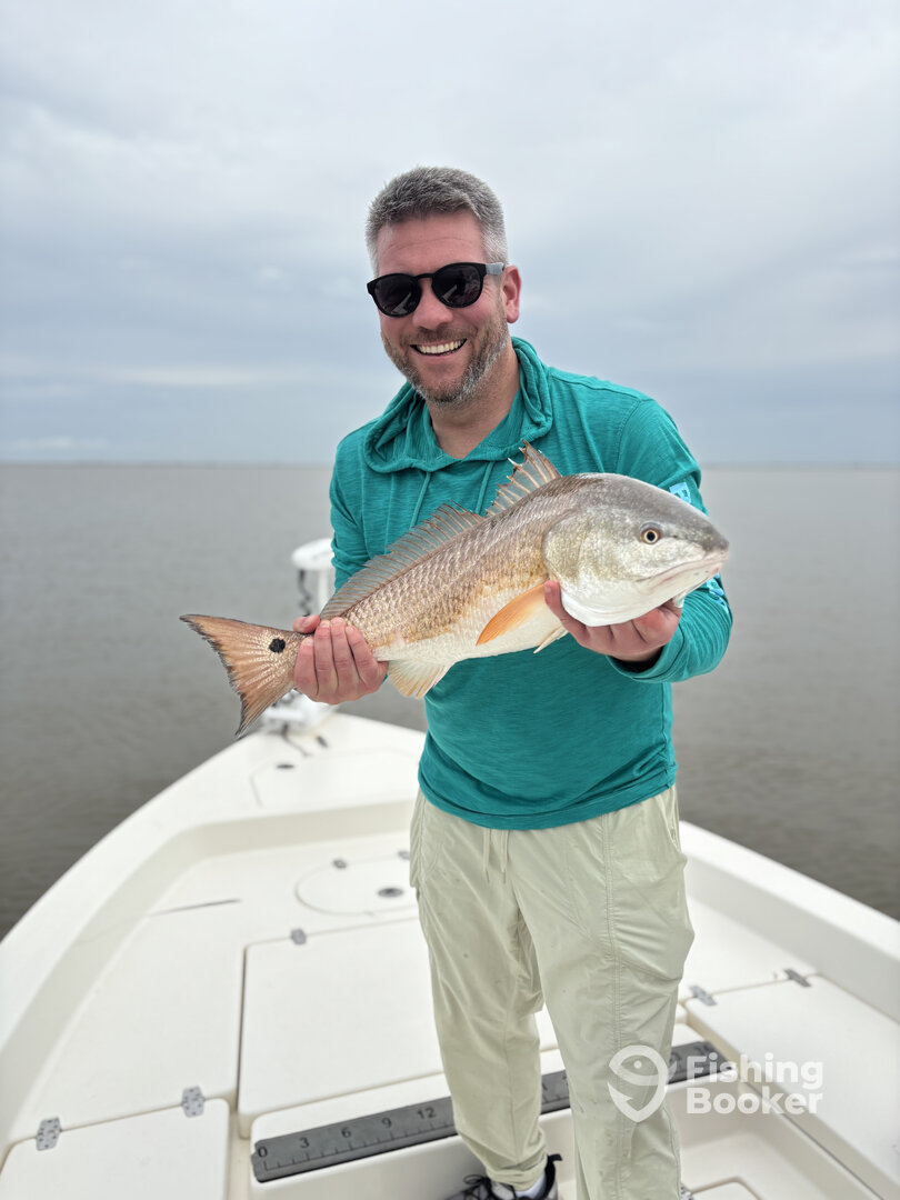 Venice Report Photo 0