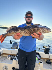 Lingcod season is open and on fire! 