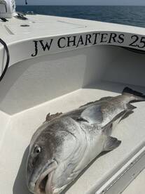 Nags Head Report Photo 2