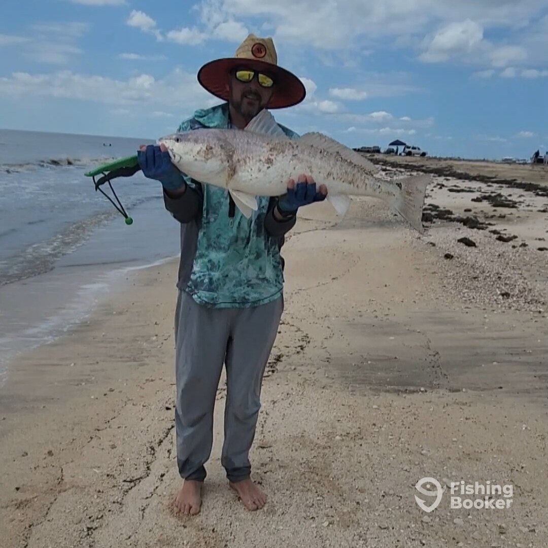 Creole Report Photo 0